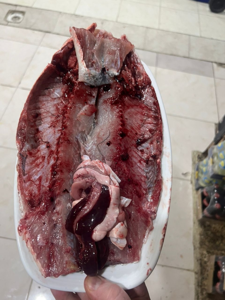 ماهی اوزون برون